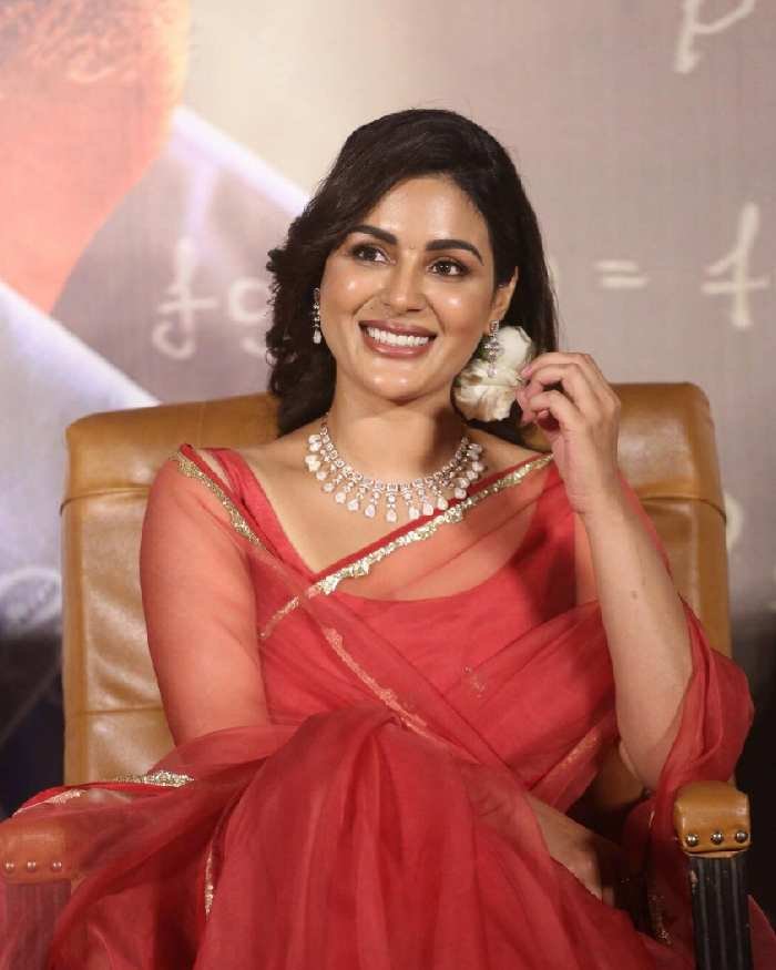 sir movie _teluguvox 4